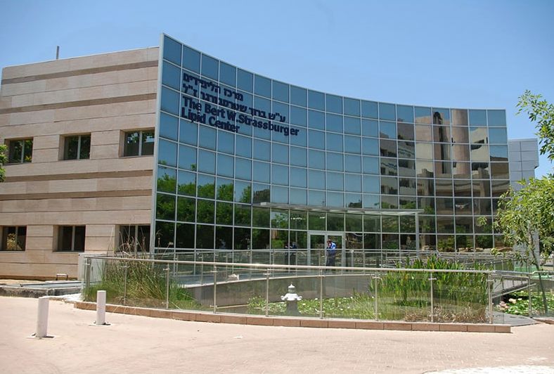 щиба израиль