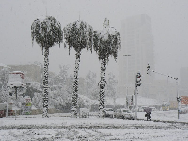 снежная буря в израиле