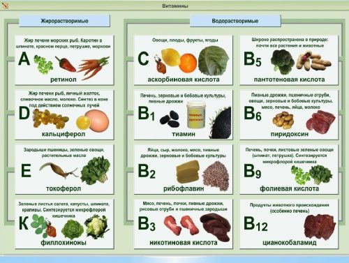 Красота и здоровье