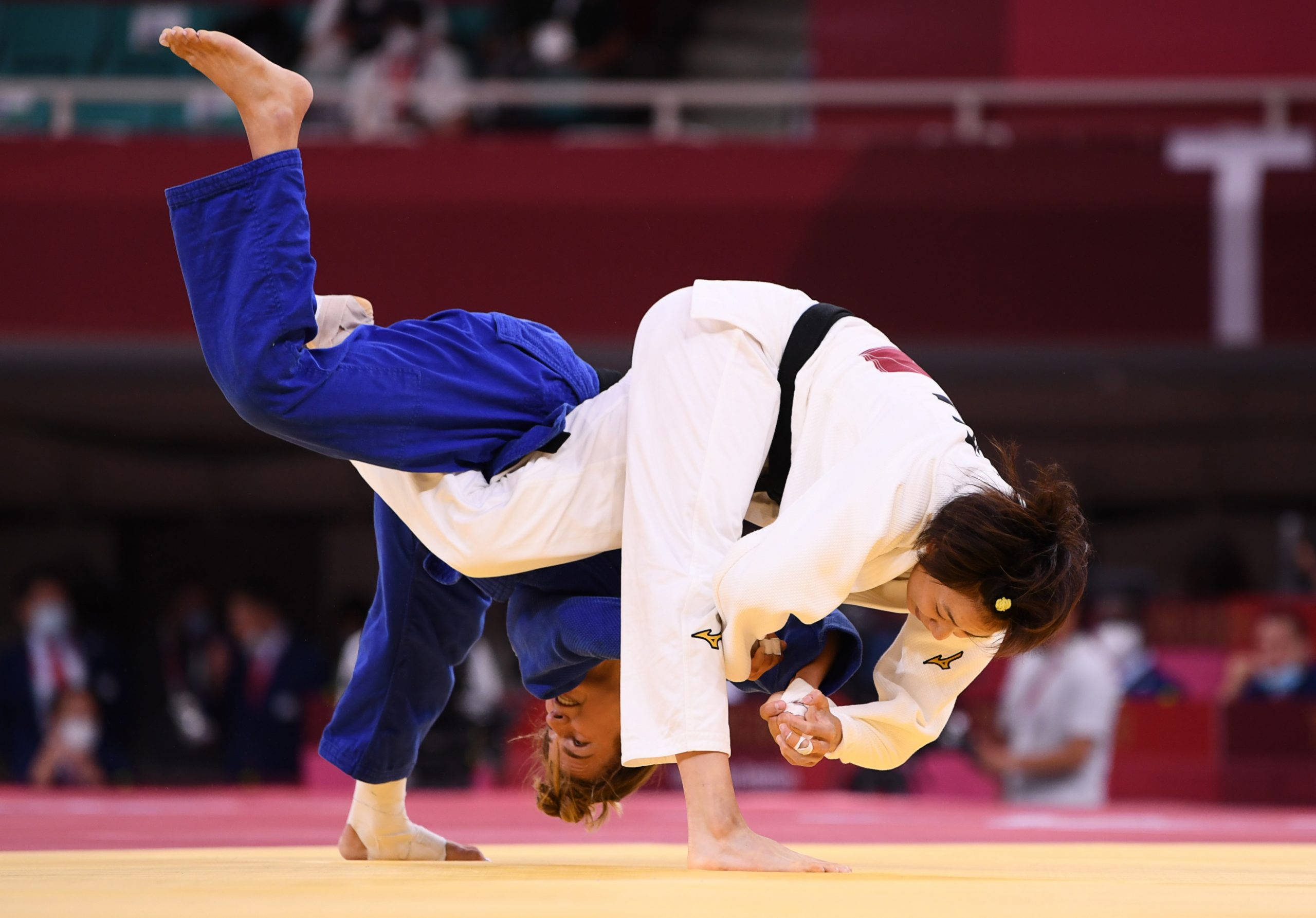 Тмина Нельсон_Леви