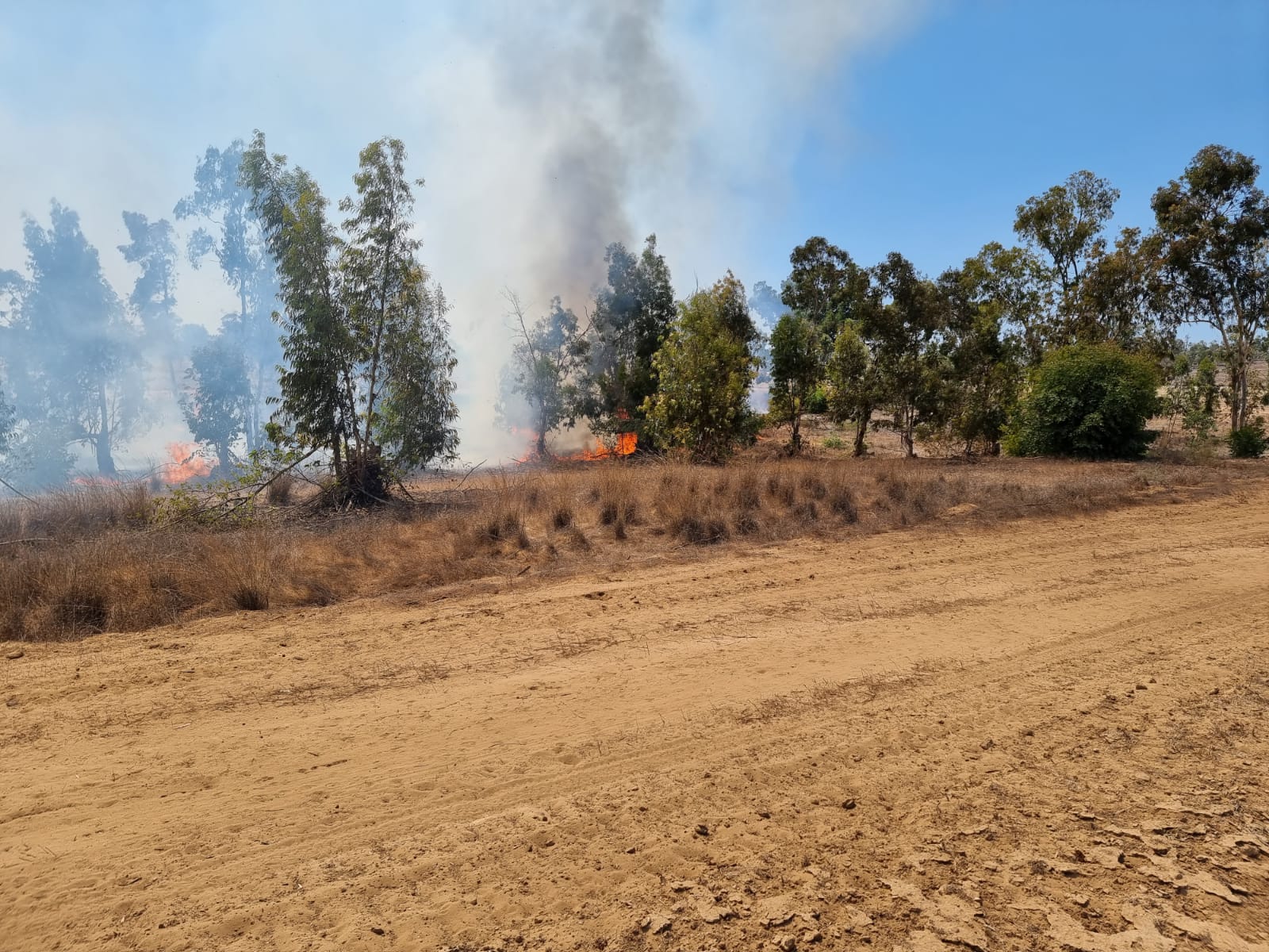 Пожар Экшколь