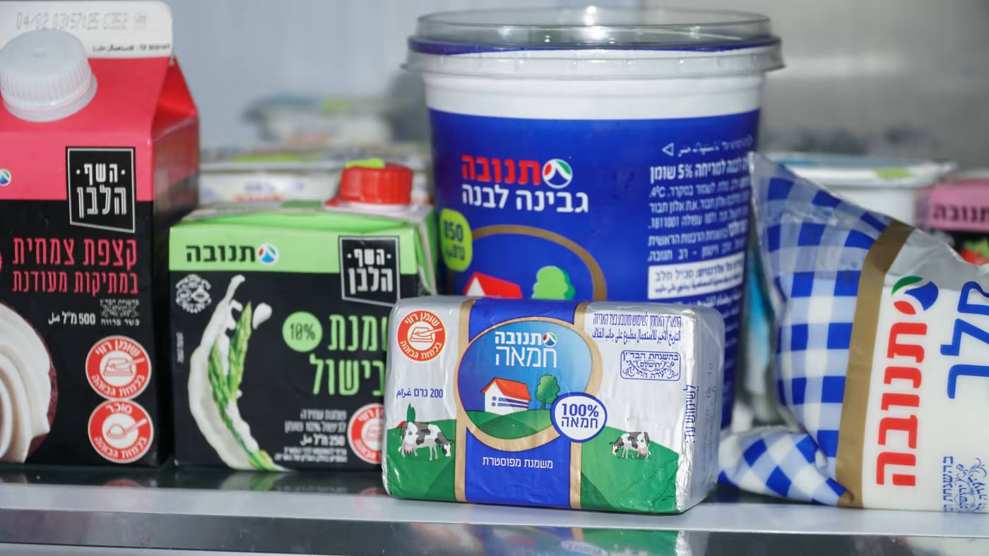 молочная продукция в Израиле